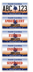 South Carolina Plates
