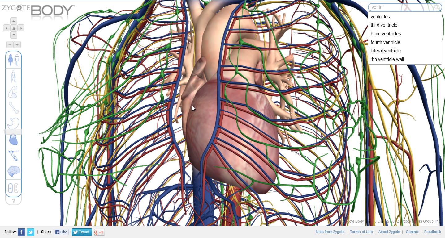 Review: See human anatomy in 3D with Zygote Body | PCWorld