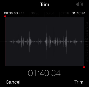 You can trim your memos, but you can't cut them and move tracks around as you can in GarageBand.