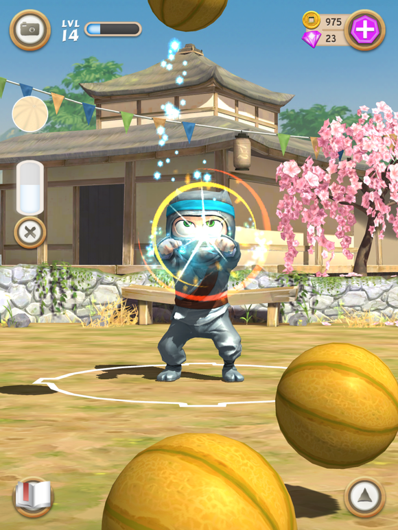 Clumsy Ninja review Who knew that becoming a ninja could