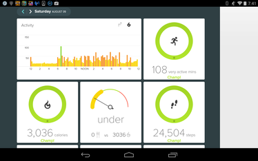 Fitbit dashboard