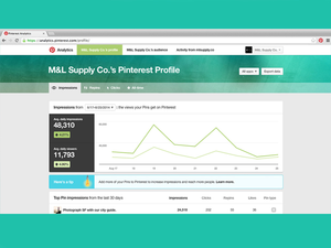 06 pinterest analytics final