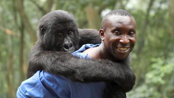 Virunga