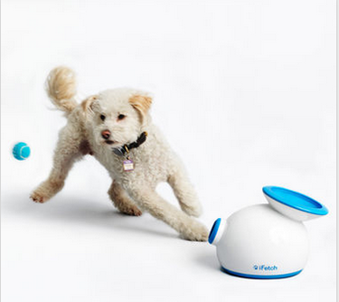 iFetch, Skymall