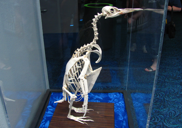 linux penguin skeleton