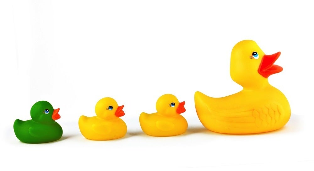 4 rubber ducks in a row