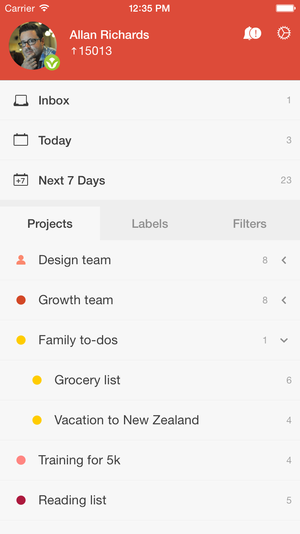 todoist project