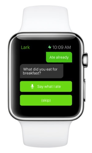 lark apple watch