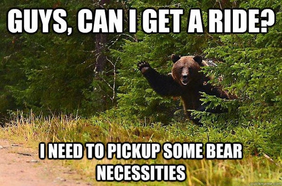 thelist bear get a ride