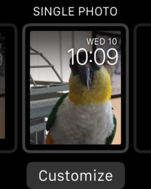 watchos beta 1 single photo watch face