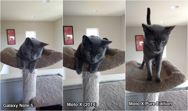 moto x camera test kitty