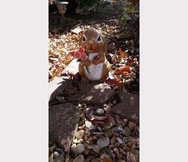 Nexus Note Camera Comparison (note d)