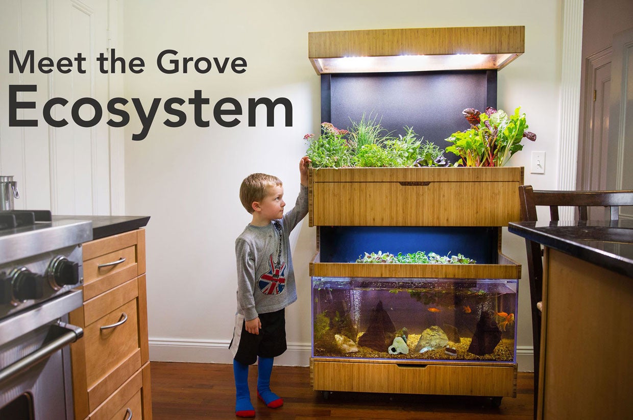 Grove Labs brings its fish-powered smart indoor garden to ...