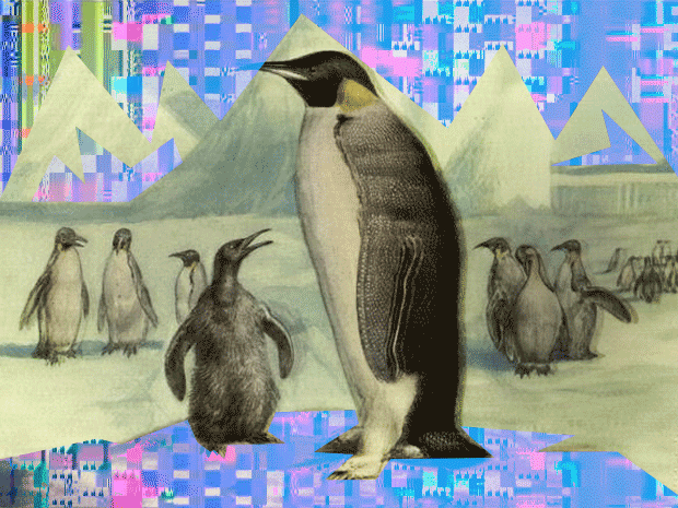 9 linux distros to watch in 2016