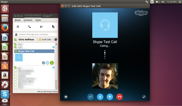 The contacts and call screens on Skype for Linux