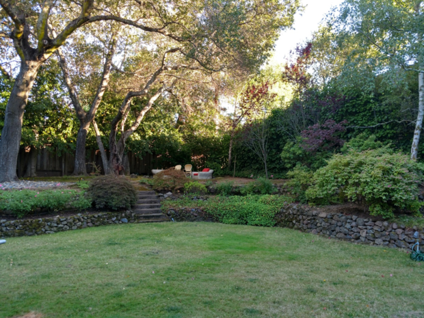 moto z force landscape image