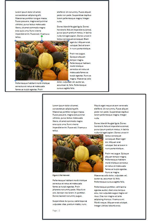 10 Use the sizing handles to change the image size, then watch the text wrap around the photo