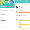 app similar to fitbit for apple watch