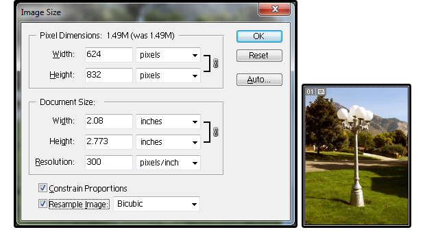 how-to-print-wallet-size-iucn-water