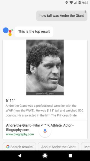 google assistant search