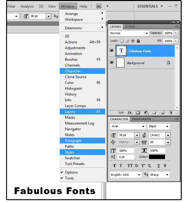 03 define character font style attributes etc