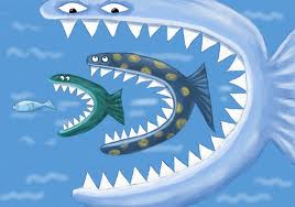comcast%20big%20fish.jpg