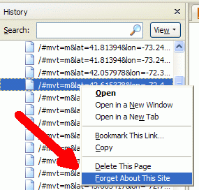 Firefox3_5_forgetsite.gif