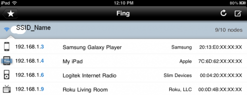 Fing_on_iPad_with_PrivacyCropped.png