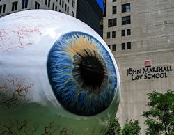 iris%20biometrics.jpg