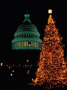 National Christmas Tree, Washington, D.C. by Hisham Ibrahim