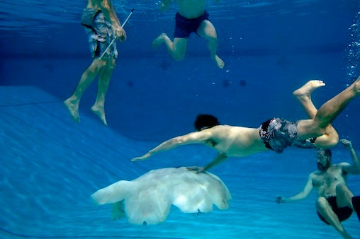 underwater jellyfish roboto