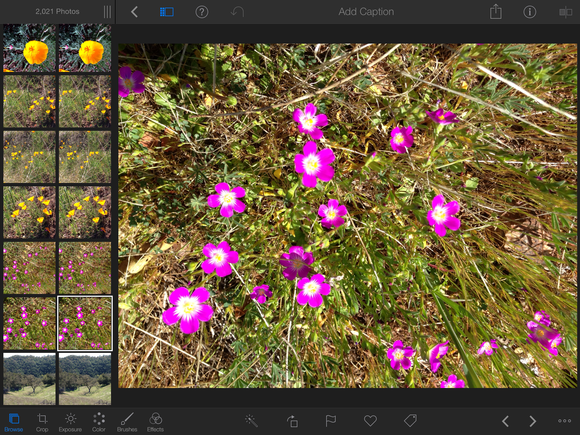 iPhoto 'for iOS 7