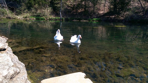HTC One M8 Camera (19)