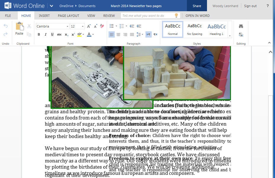 Figure 3: Microsoft Office Online compatibility test
