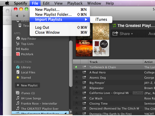 spotifyimg1.png