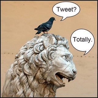socialmedia320.jpg