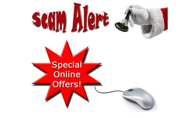 christmasscamsimg6.jpg