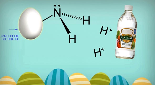 EggDyeScience590_0.jpg