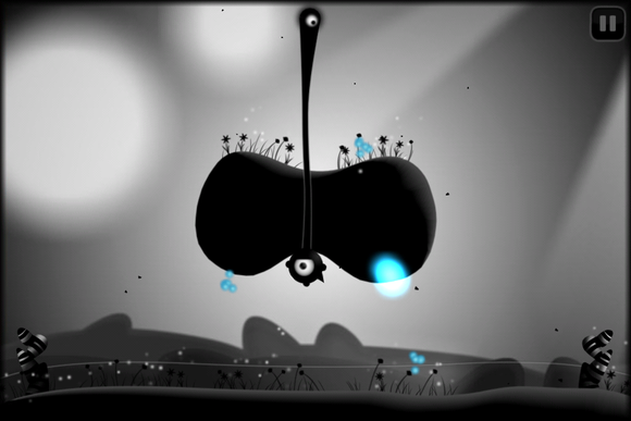 Contre Jour
