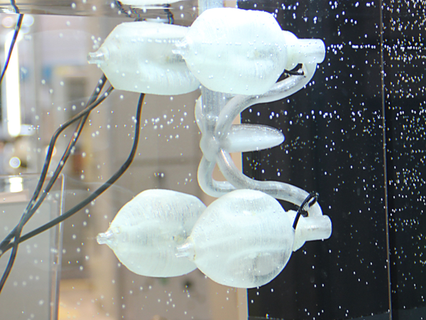 octopus_fraunhofer.png