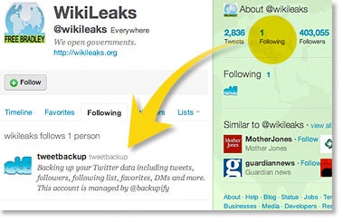 wikileaks-twitter