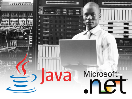 .NET/Java