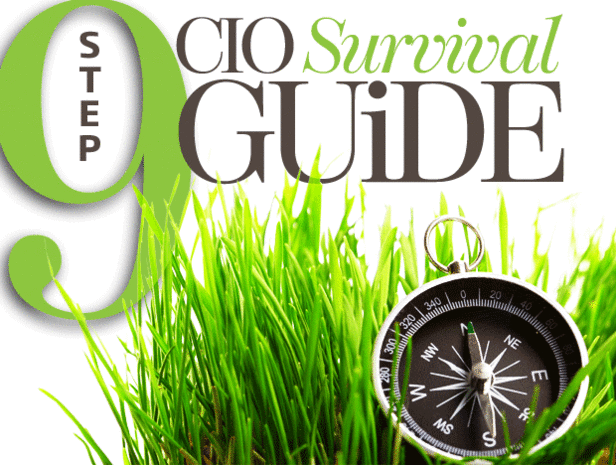 CIO survival guide