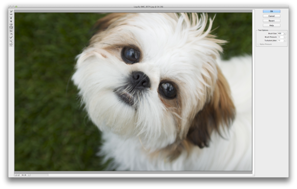 How to Create an Animated GIF in Adobe Photoshop Elements: 7 Steps