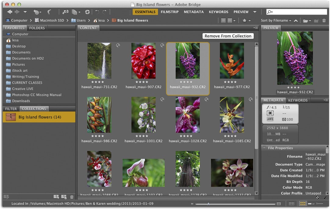 adobe bridge cs6 30 recent folders