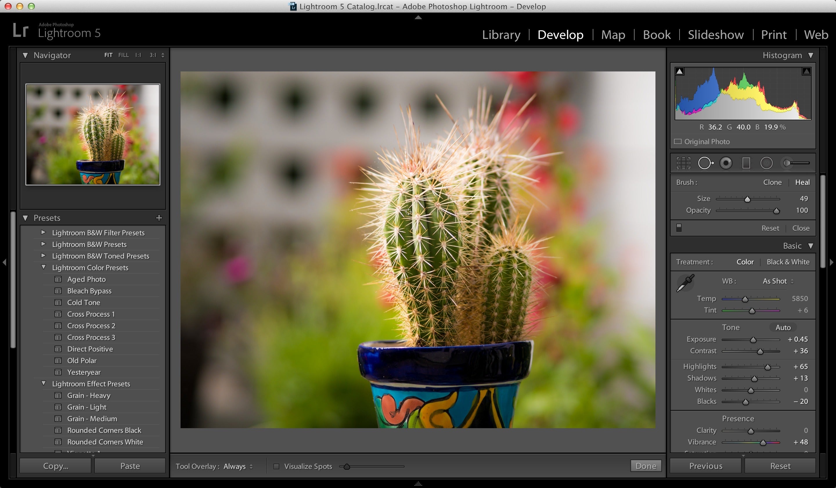 adobe photoshop lightroom 5 download for pc