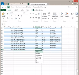 Office Web Apps: Excel