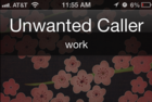 Block unwanted iPhone callers in iOS 6