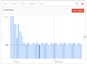 google flight