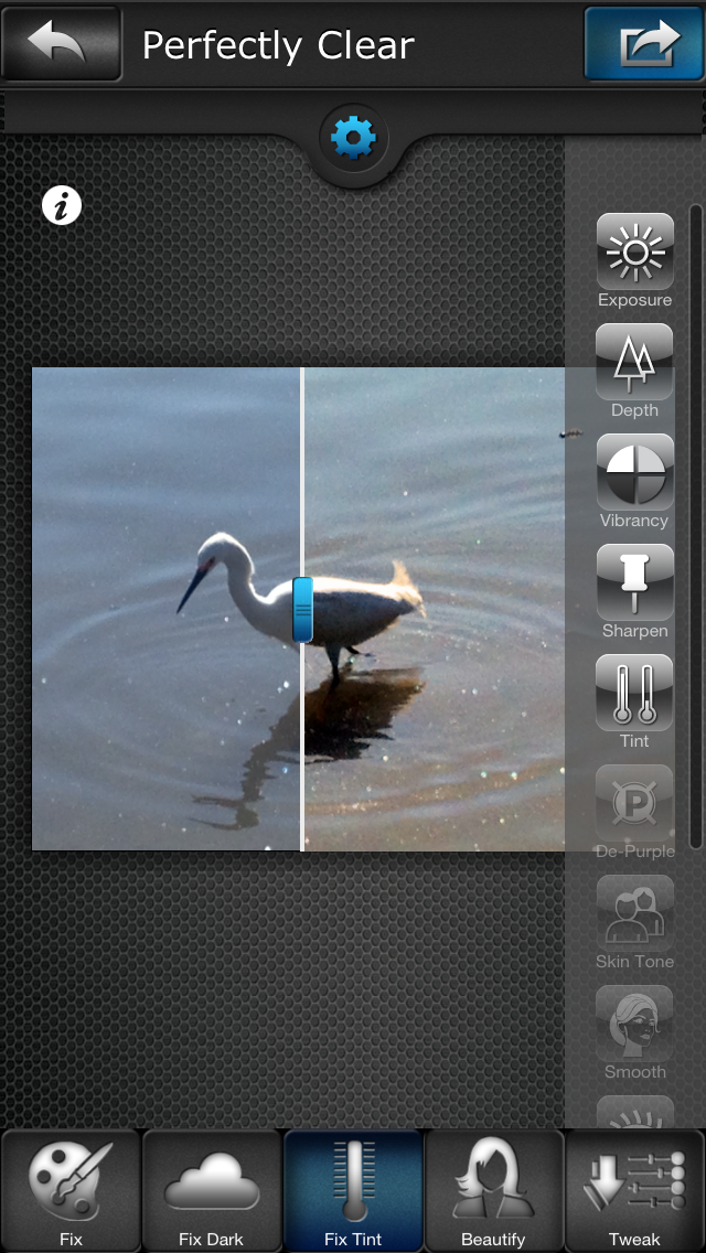 Perfectly Clear Video 4.5.0.2559 download the new version for mac
